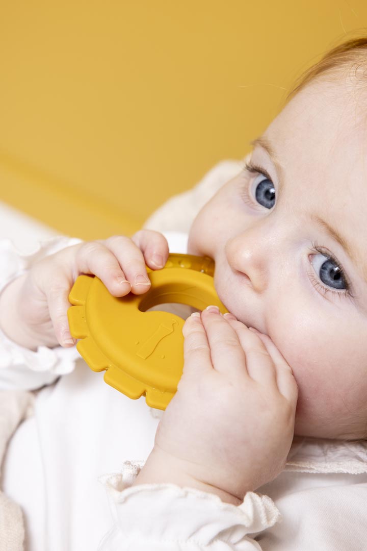 Kühlender Beißring - Mr. Lion